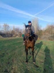 Шкафы для трансформатора: Продаю | Жеребец | Английская | Конный спорт — 7