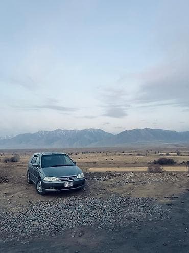 куплю хонду: Honda Odyssey: 2003 г., 2.3 л, Автомат, Бензин, Минивэн — 7