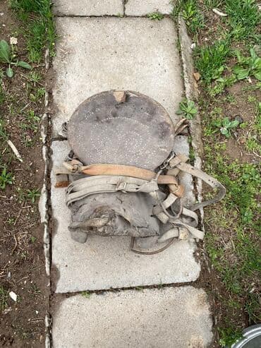 где можно купить молодых кур несушек: Антикварное седло, возраст 150 лет Редкое старинное седло, которое — 1