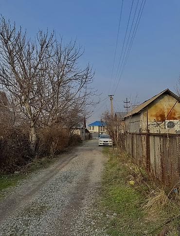 5 соток, Курулуш, Кызыл китеп — 5