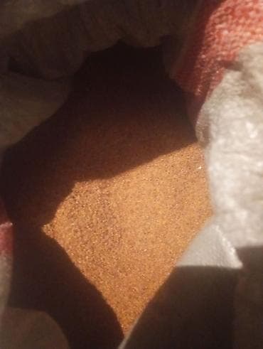 жылкы бе: БЕДЕ УРУК САТЫЛАТ! МЕСНЫЙ КАРА - БАЛТАныкы ОЗУБУЗДУН ЖЕРДИКИ — 9