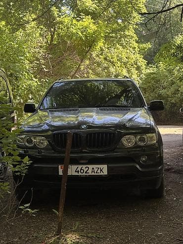 carlin kit: BMW X5: 2004 г., 4.8 л, Автомат, Бензин, Кроссовер — 1