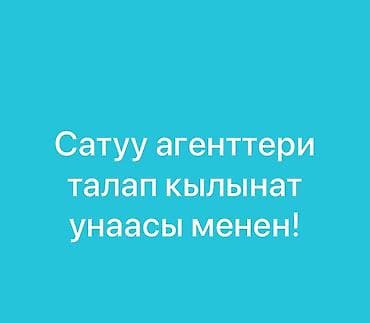 Талап кылынат Соода агенти, Иш тартиби: Беш күндүк, Тажрыйбасыз, Расмий жумушка орноштуруу, Толук жумуш күнү lalafo.kg да Талап кылынат Соода агенти, Иш тартиби: Беш күндүк, Тажрыйбасыз, Расмий жумушка орноштуруу, Толук жумуш күнү