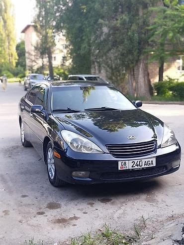 amg 210: Lexus ES: 2004 г., 3.3 л, Автомат, Бензин, Седан — 3