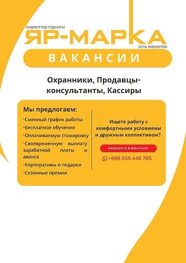 Открыты вакансии в нашей команде! Мы приглашаем на работу