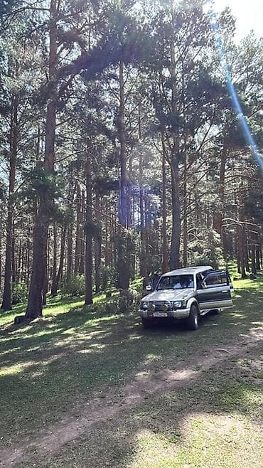 bmw samurai: Mitsubishi Pajero: 1992 г., Дизель, Внедорожник — 1