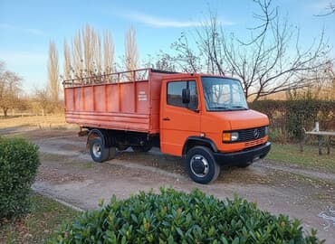 Грузовик, Mercedes-Benz, Стандарт, 6 т, Б/у