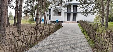 двор: 1 комната, 33 м² — 1