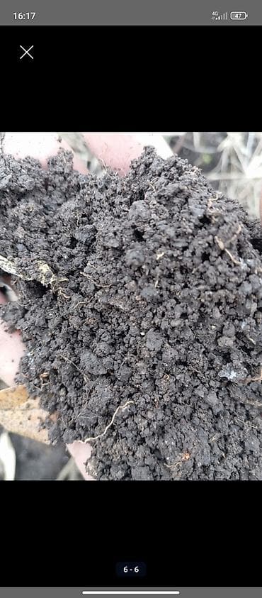 грунт для рассады: В тоннах, Зил — 3