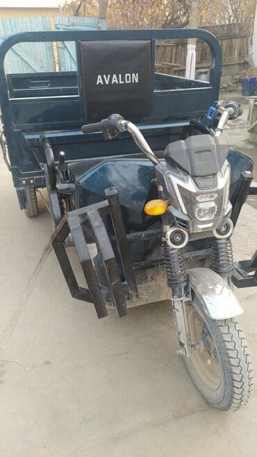 мото электрический: Легкий грузовик, До 1 т, Б/у — 1