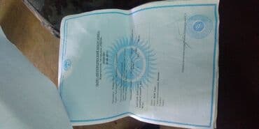 купить бензиновый двигатель на мотоблок: Продаю контрактный двигатель с Nissan Premera 2003 года выпуска — 2