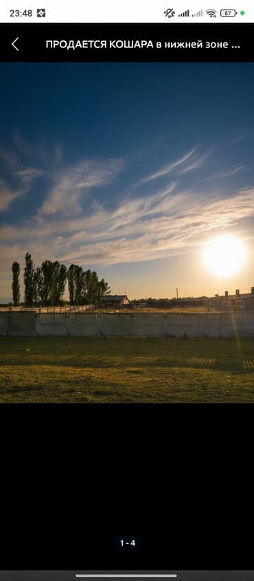 Продаю Кошара, 40 соток, Действующий, Частично с оборудованием, Электричество