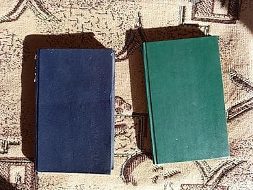 библиотеку: Роман, На русском языке — 4