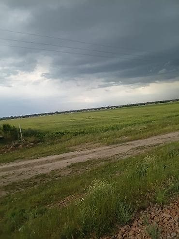 2 соток, Для сельского хозяйства, Договор долевого участия — 3