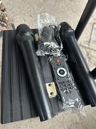 Портативная аккумуляторная акустическая система SSRJ SS-3101 Основные — 2
