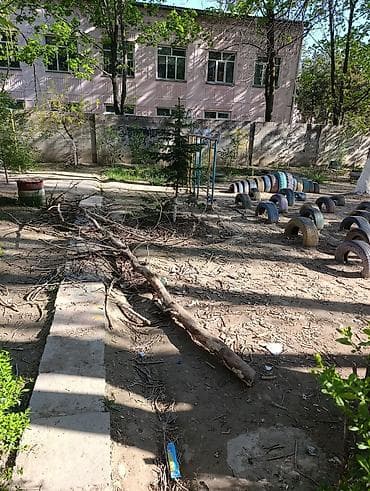 империя пиццы аламедин 1: Дрова Самовывоз — 1