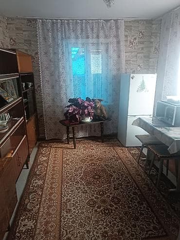 көк жар дом: Дом с большим участком и хозяйственными постройками - Жилой дом с — 10