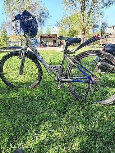 велик малинкий: Женский велосипед — 1