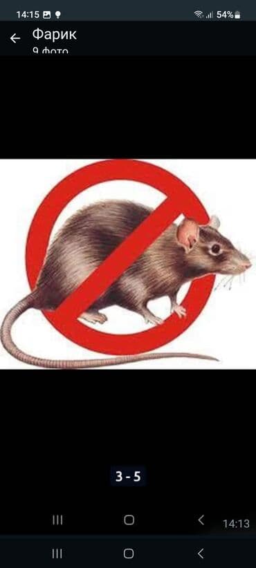 Бала бакчалар, бала багуучулар: Дезинфекциялоо, дезинсекциялоо, | Канталалар, Бүргөлөр, Таракандар, | Транспорт, Офистер, Батирлер — 5