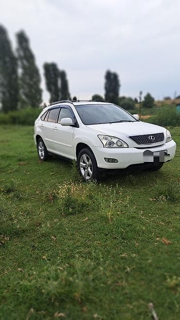 рейл: Lexus RX: 2004 г., Автомат, Бензин, Кроссовер — 3