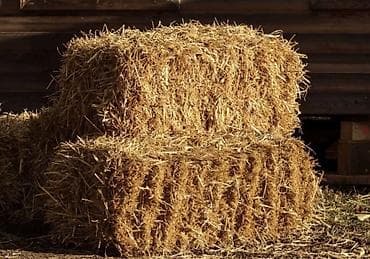 мешок песка: СОЛОМА В ТЮКАХ цена договорная Описание: - Прессованные — 1