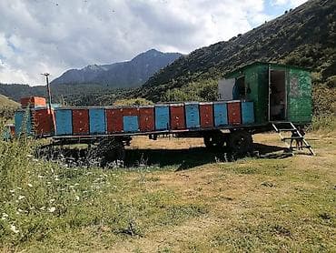 195 65 15 с: Прицеп, Special trailer — 2