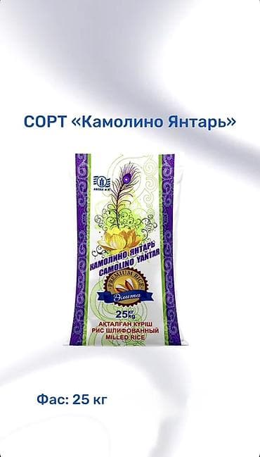 орук алам: Рис шлифованный Камолино Янтарь, сорт «Камолино Янтарь». - Тип: белый — 1