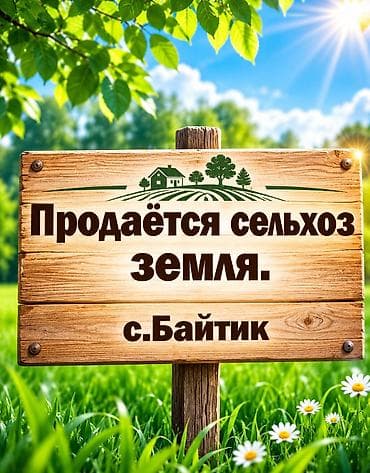 Недвижимость: 4 соток, Для бизнеса — 1