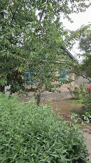 Недвижимость: ⚠️Срочно продаётся Дом 14 соток 📍с Маловодное 📍ул. Ленина ✔️Дом — 5