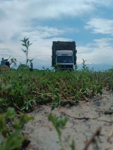 срочно портер сатылат: Жүк ташуучу унаа, Mercedes-Benz, Стандарт, 7 т, Колдонулган — 2