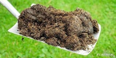 НАВОЗ БЕСПЛАТНО АЛГЫЛА!
Самовывоз