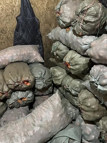 продажа продуктов питания: Морковь — 1