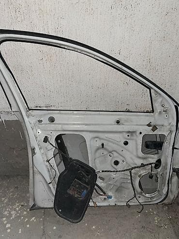 мер кабан: Дверь Передняя левая Skoda — 3