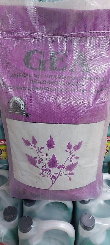 саженцы яблоня: Семена люцерны сорта Багира, упакованные в мешок весом 25 кг. Этот — 5