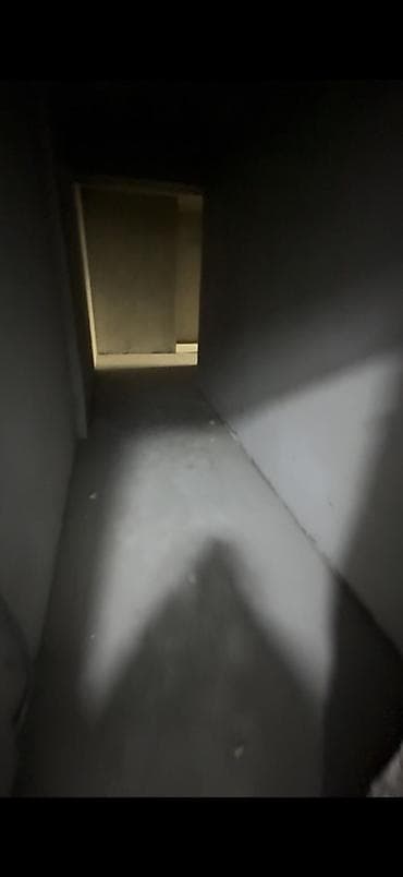 1200: 1 комната, 65 м², Индивидуалка, 10 этаж, Готовая ПСО (под самоотделку) — 4