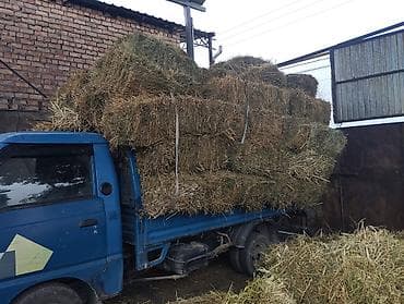 ящики для цыплят: Сено в тюках 1й кос 

- Тюковое сено из луговых трав, спрессованное — 1