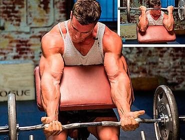 скамья скотта: Скамья Парта Скотта для бицепса 🔥 ▫️-Отличный тренажер для бицепса и — 1