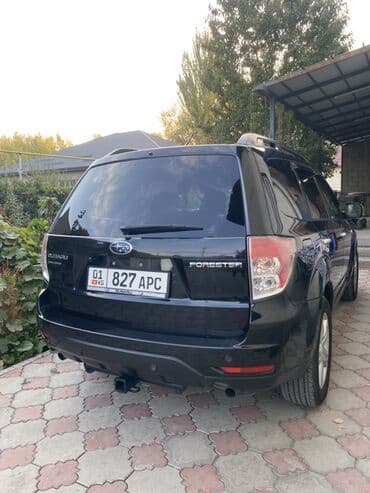subaru forester 2009: Subaru Forester: 2009 г., 2.5 л, Автомат, Бензин, Кроссовер — 3