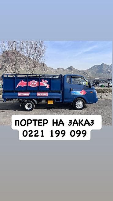 Другие услуги: Портер на заказ 
Доставка по городу Манас(Жалал Абад) — 1