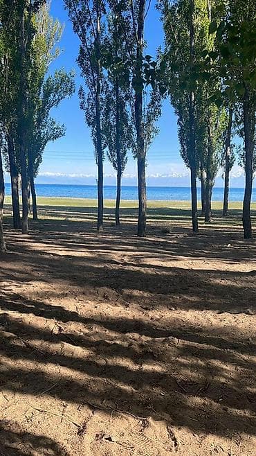 земля каракол: 10 соток — 4