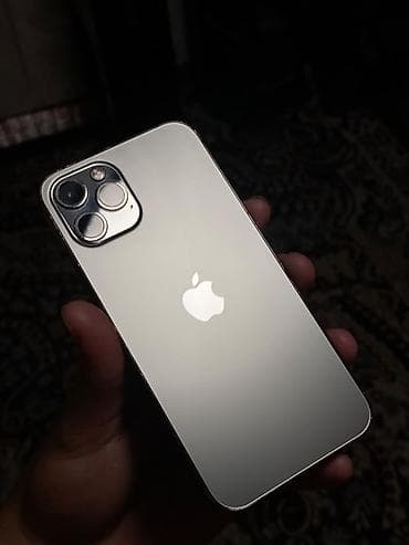 черно белый: IPhone 12 Pro, Новый, 256 ГБ, Серебристый, Чехол, 74 % — 1