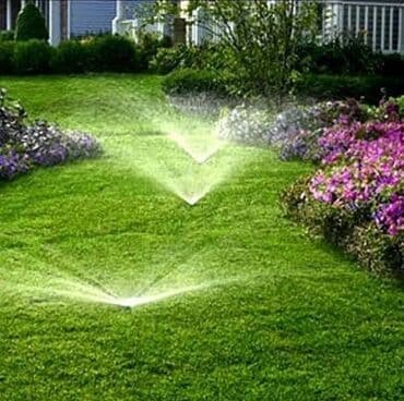 охрана ночная смена: Газон Посев Газона Натуральный газон Автополив Сеем Натуральный Газон — 3