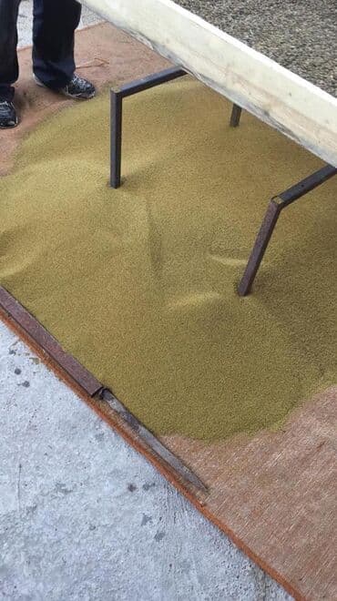 бенкунг отзывы: Семена кормовых растений: Люцерна, Самовывоз — 4