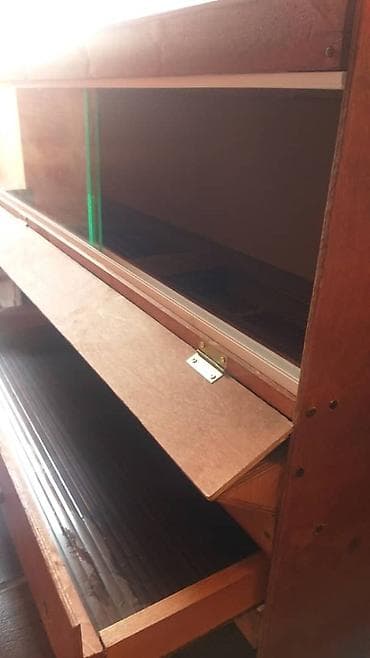 Собаки: Брудеры для цыплят. размеры 150 х 50 х 65 см. Яйцо Брама — 7