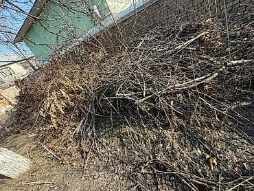 Декор и интерьер: Дрова — 3