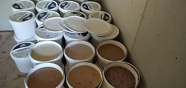 Продукты питания: Продаём натуральный горный мёд с семейной пасеки в горах Лейлека — 2
