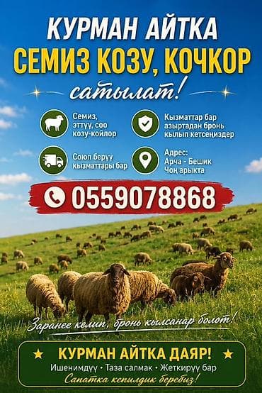 сколько стоит мясо кролика: Продаю | Баран (самец) | На забой — 2