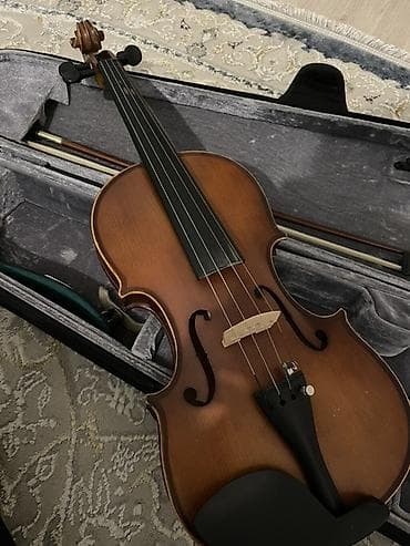 Скрипки: Скрипка 4/4 с комплектом аксессуаров. Особенности: - Классический — 1