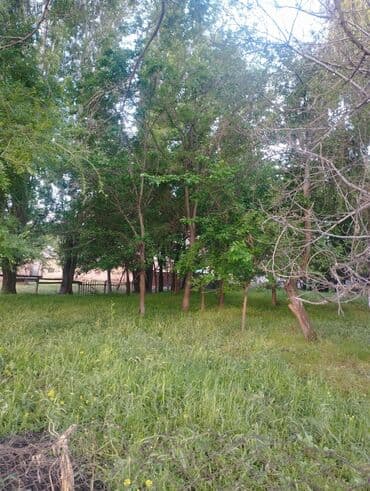 талас квартира керек: Для строительства, Тех паспорт — 2