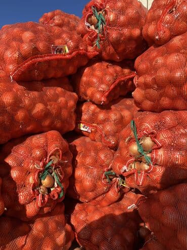 шкафчик для книг: Лук — 1